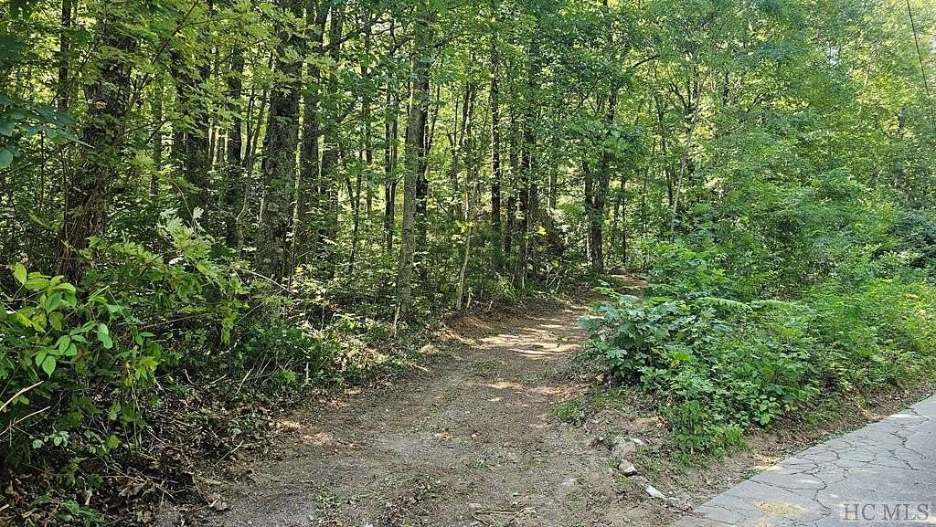 1.39 Acres of Land for Sale in Scaly Mountain, North Carolina