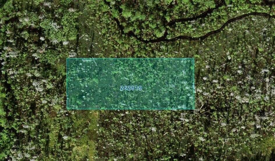 1 Acre of Land for Sale in Polk City, Florida