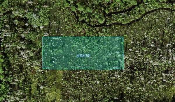 1 Acre of Land for Sale in Polk City, Florida