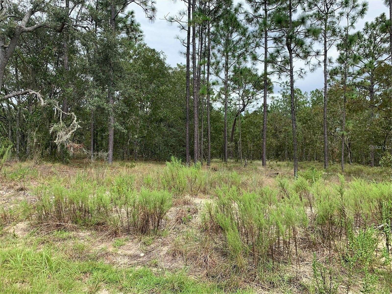 1.05 Acres of Residential Land for Sale in Dunnellon, Florida