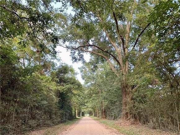 21 Acres of Land for Sale in Sandy Hook, Mississippi