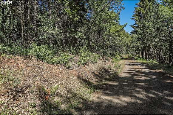 10 Acres of Recreational Land for Sale in White Salmon, Washington