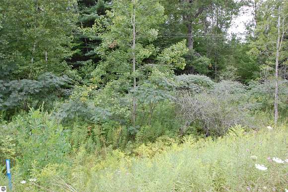 6.9 Acres of Land for Sale in Alger, Michigan