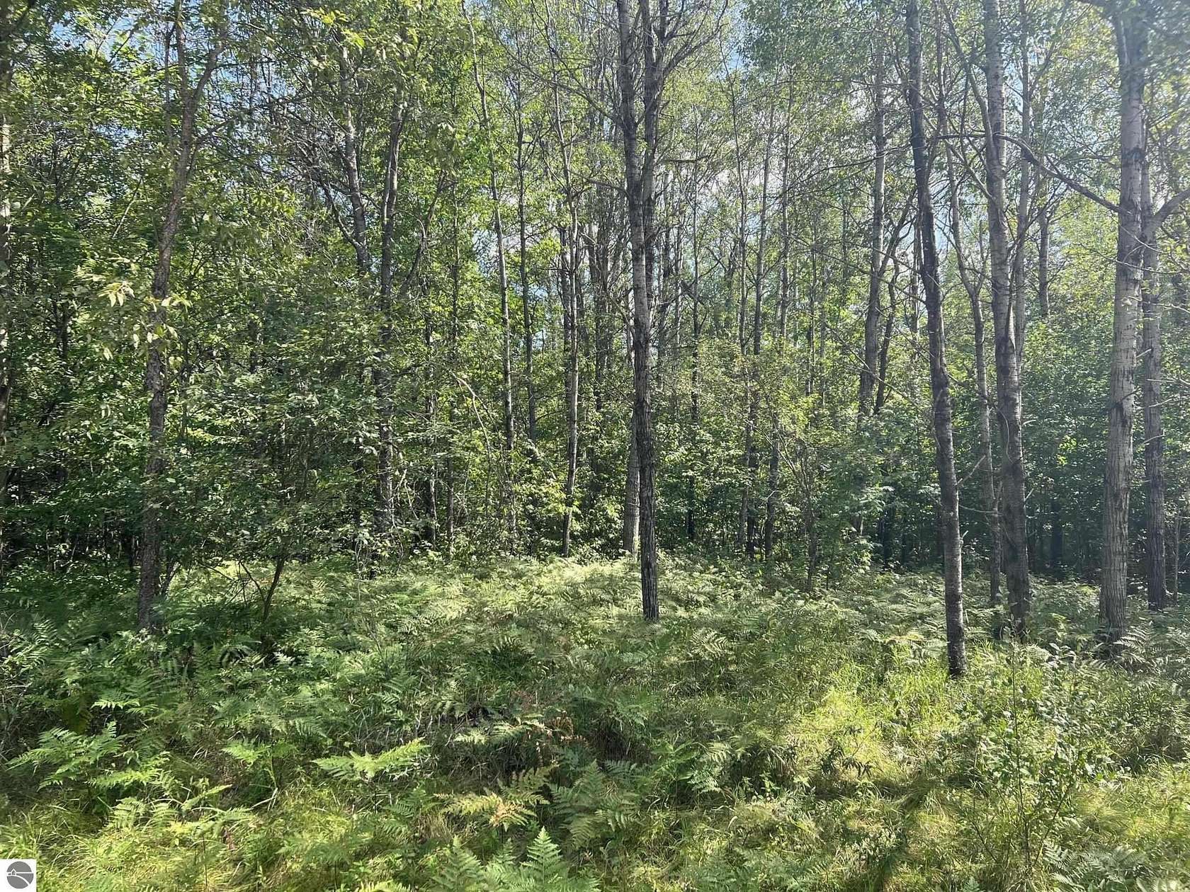 1.3 Acres of Residential Land for Sale in Grayling, Michigan