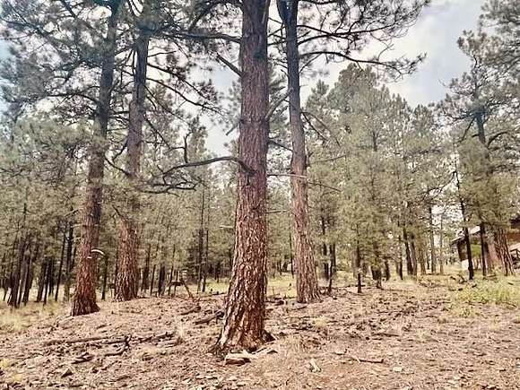 1.01 Acres of Land for Sale in Angel Fire, New Mexico