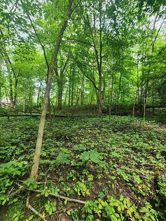 0.12 Acres of Residential Land for Sale in Poynette, Wisconsin