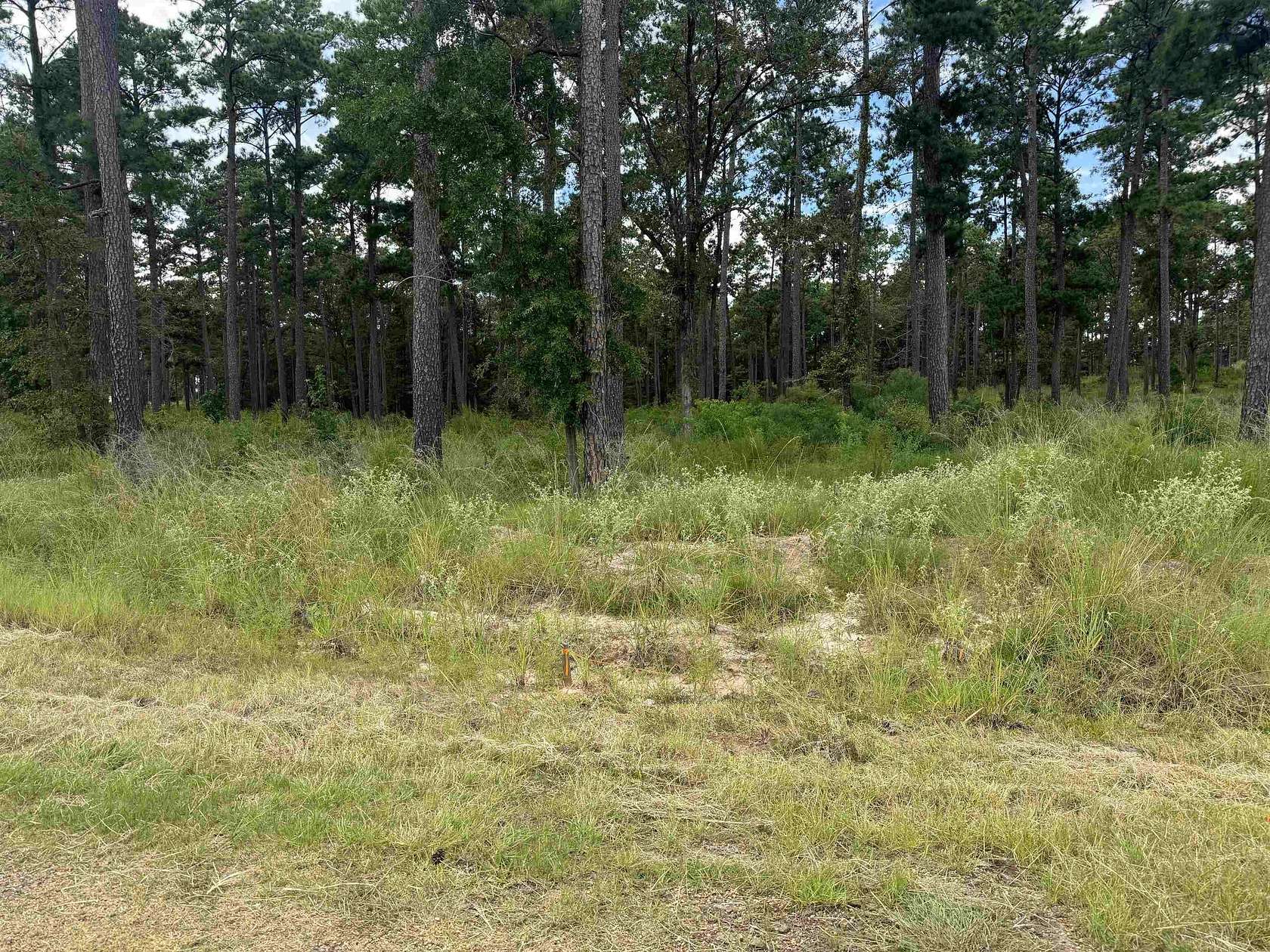 1 Acre of Residential Land for Sale in Brookeland, Texas