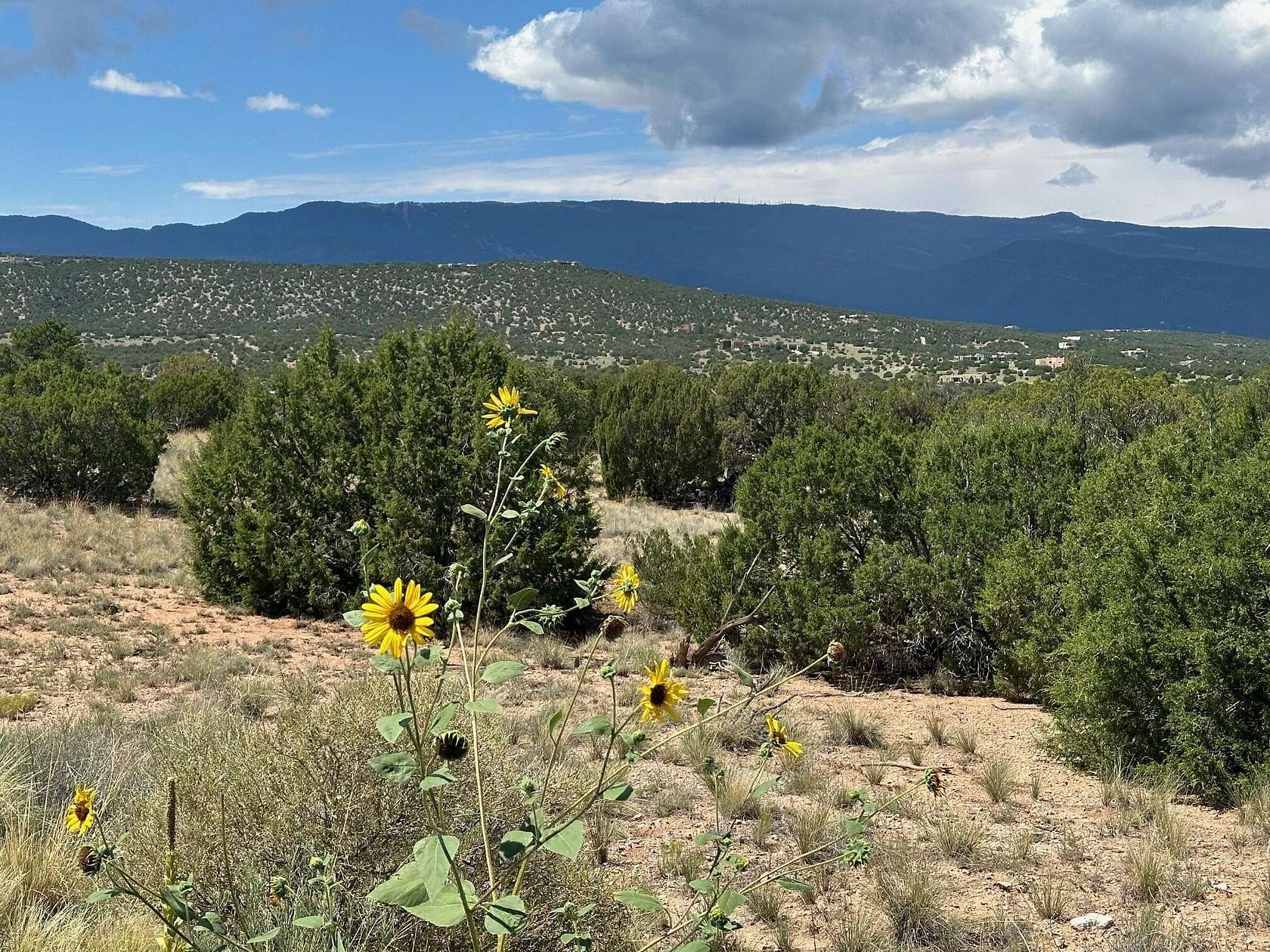 4.9 Acres of Residential Land for Sale in Sandia Park, New Mexico