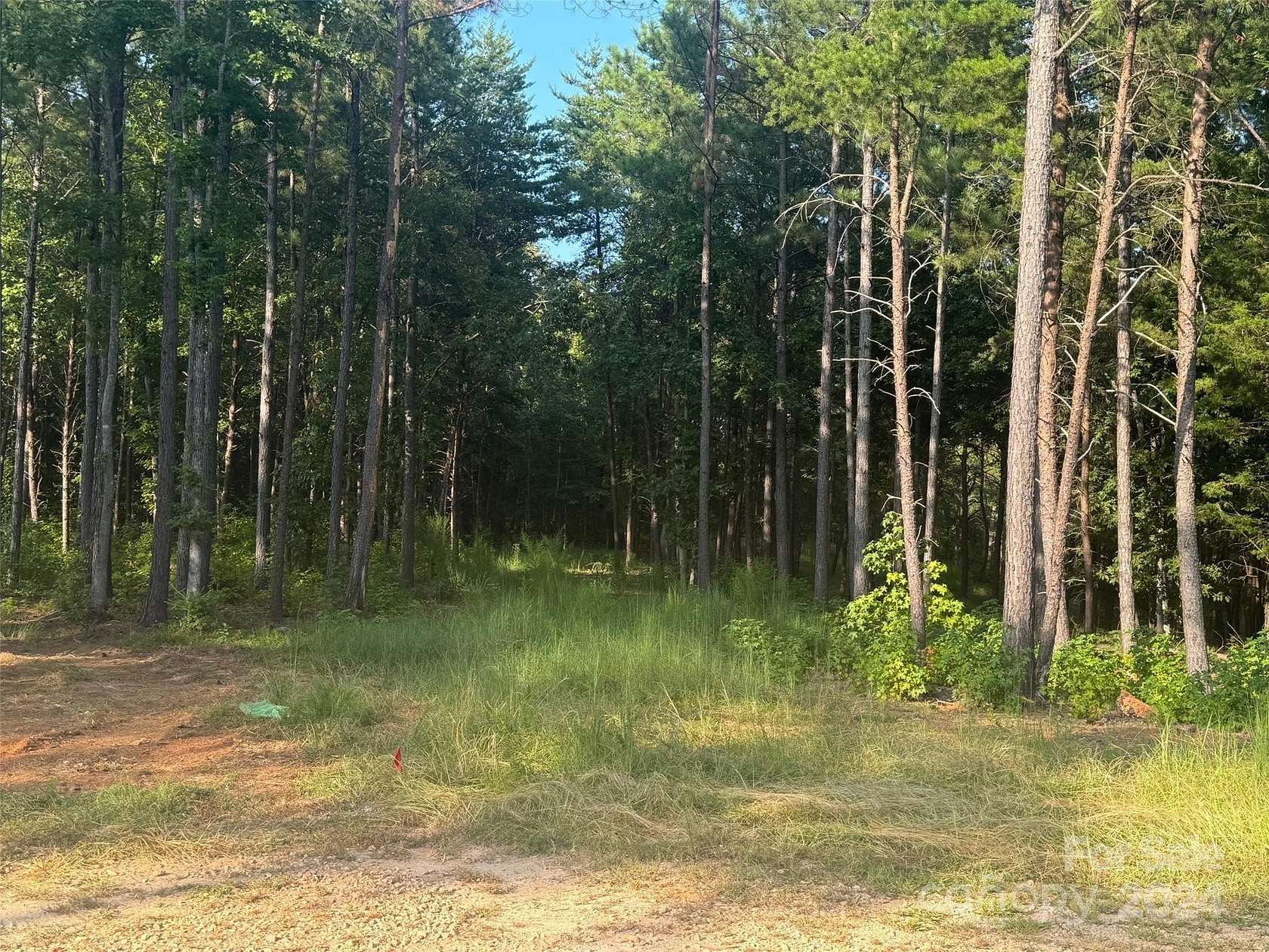 6.446 Acres of Residential Land for Sale in Van Wyck, South Carolina