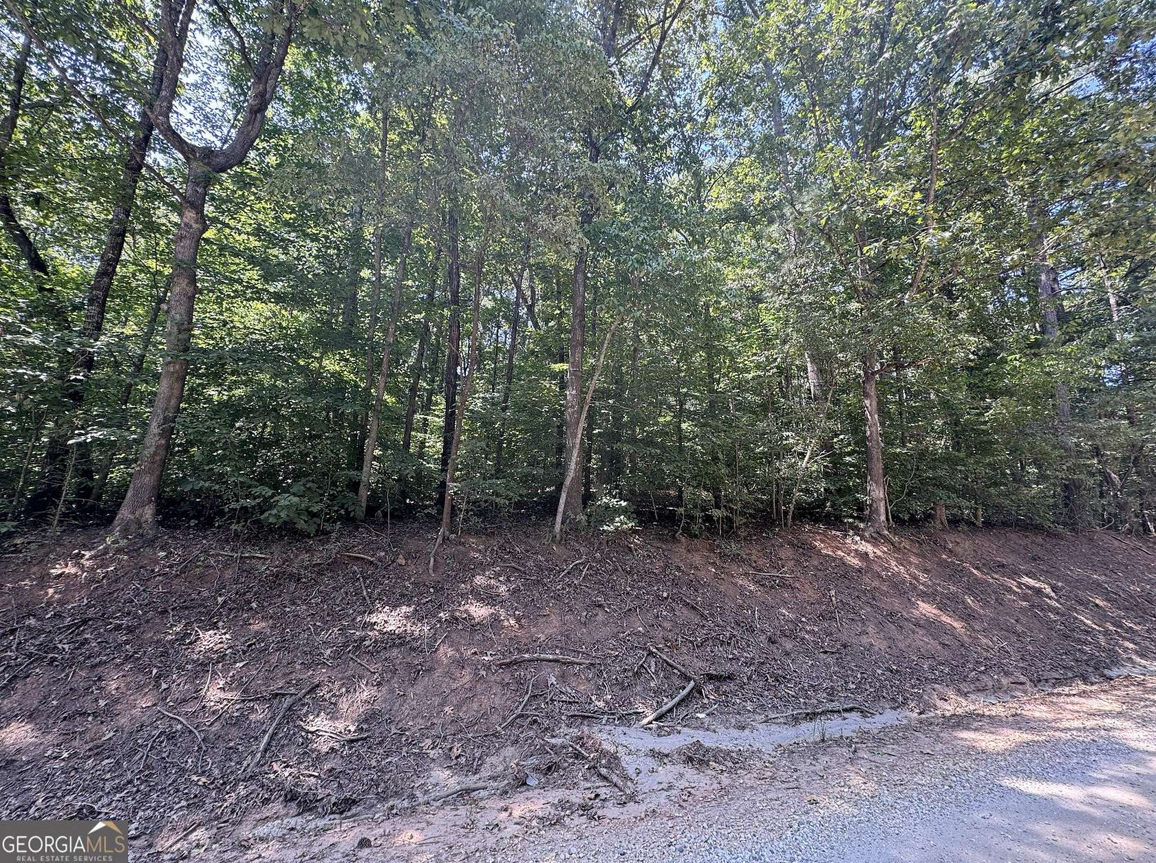 Residential Land for Sale in Lavonia, Georgia