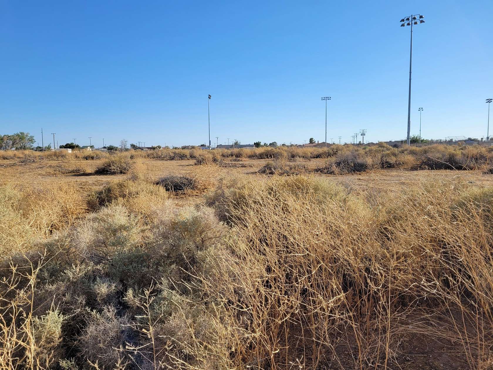 Residential Land for Sale in California City, California