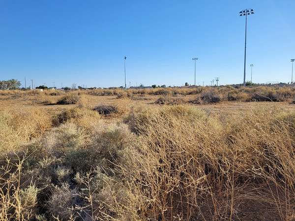 0.32 Acres of Residential Land for Sale in California City, California