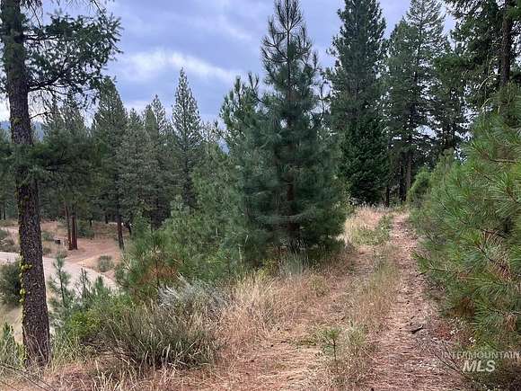 8.49 Acres of Residential Land for Sale in Cascade, Idaho