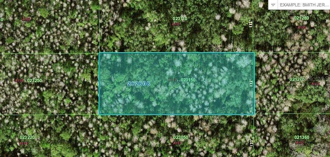 1 Acre of Land for Sale in Polk City, Florida