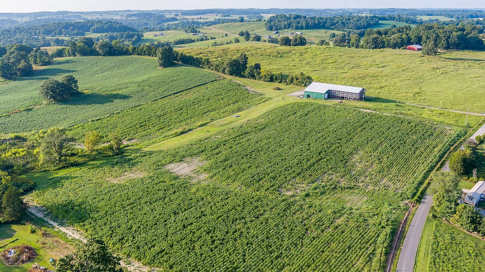 137.2 Acres of Recreational Land & Farm for Sale in Tompkinsville, Kentucky