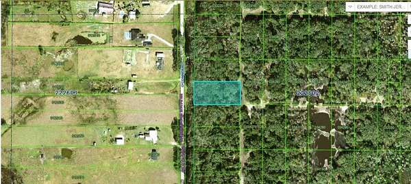 1.25 Acres of Land for Sale in Kathleen, Florida