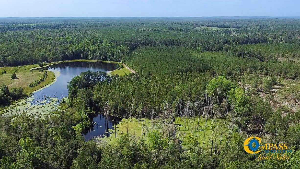 111 Acres of Recreational Land for Sale in Westville, South Carolina