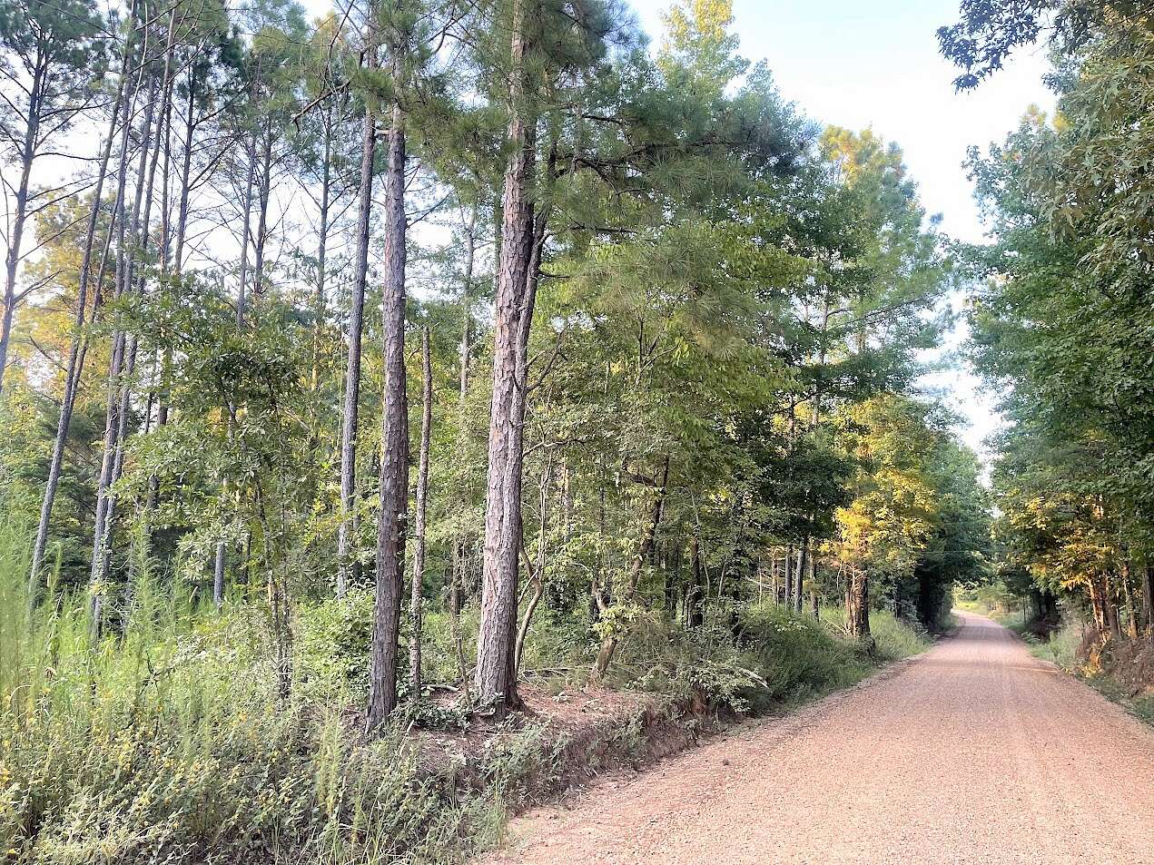 51.51 Acres of Recreational Land for Sale in Weir, Mississippi