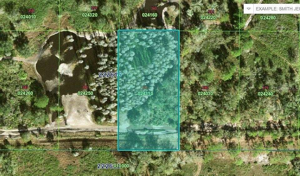 1.26 Acres of Land for Sale in Kathleen, Florida