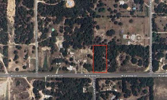 0.99 Acres of Residential Land for Sale in Homosassa, Florida