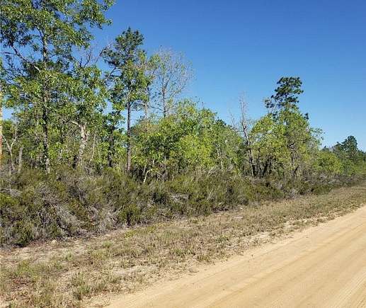 5 Acres of Land for Sale in Hawthorne, Florida