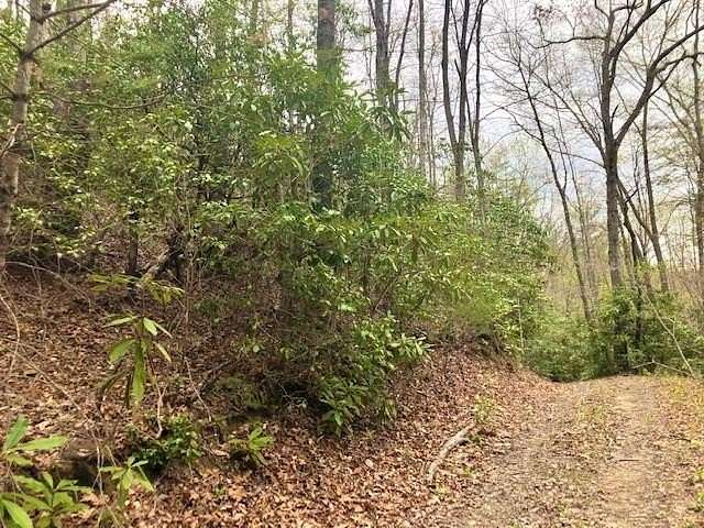 7.03 Acres of Residential Land for Sale in Robbinsville, North Carolina