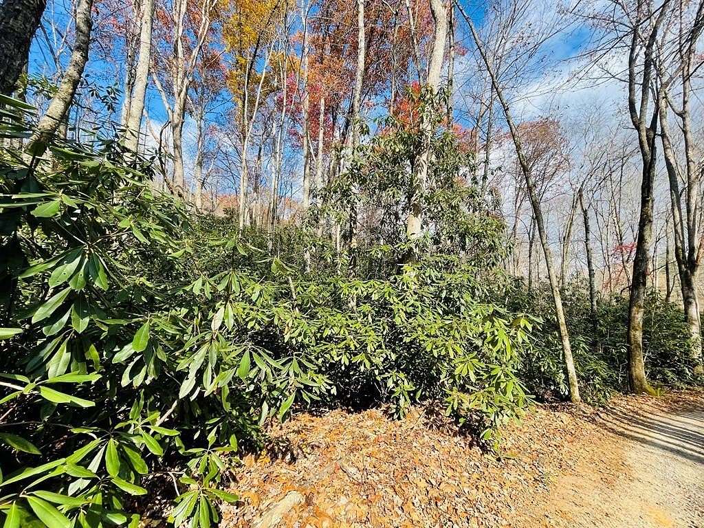 2.25 Acres of Land for Sale in Robbinsville, North Carolina