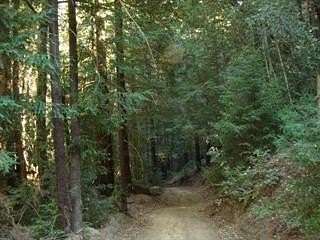 24.1 Acres of Land for Sale in Los Gatos, California