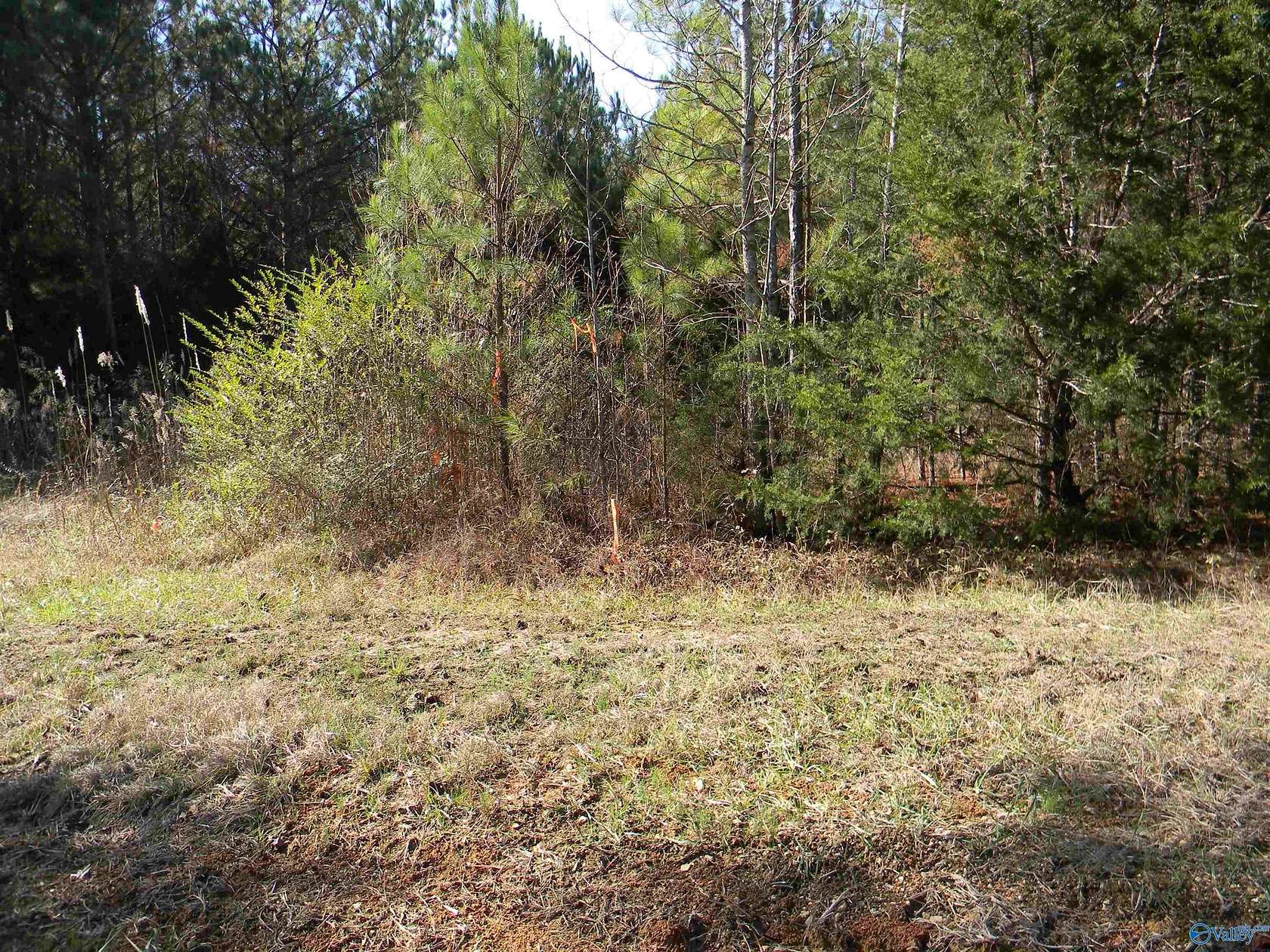 9.31 Acres of Land for Sale in Gaylesville, Alabama