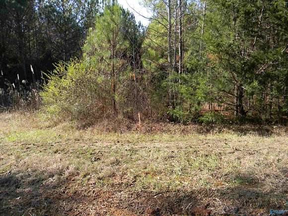 9.31 Acres of Land for Sale in Gaylesville, Alabama