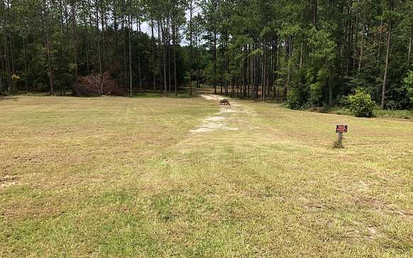 5.01 Acres of Residential Land for Sale in Wellborn, Florida