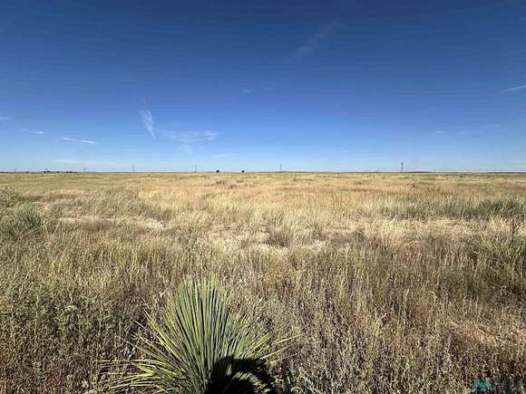 10 Acres of Residential Land for Sale in Portales, New Mexico