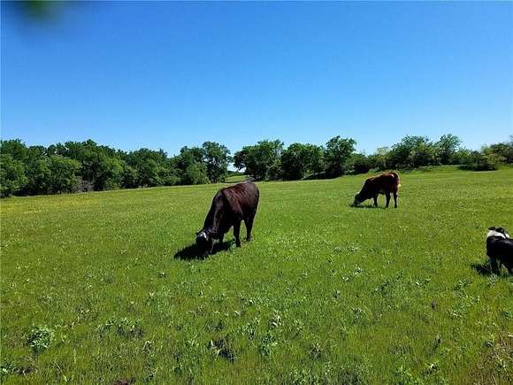 80 Acres of Agricultural Land for Sale in Kopperl, Texas