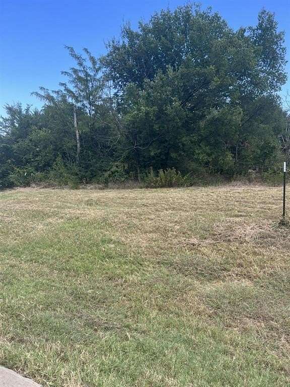 0.379 Acres of Residential Land for Sale in Gordonville, Texas