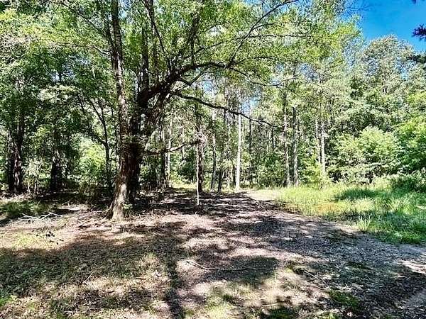 75 Acres of Recreational & Residential Land for Sale in Clarksville, Texas