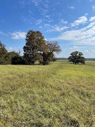 75 Acres of Land for Sale in Athens, Texas