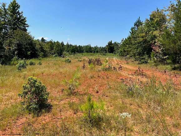 167 Acres of Recreational Land & Farm for Sale in Tignall, Georgia