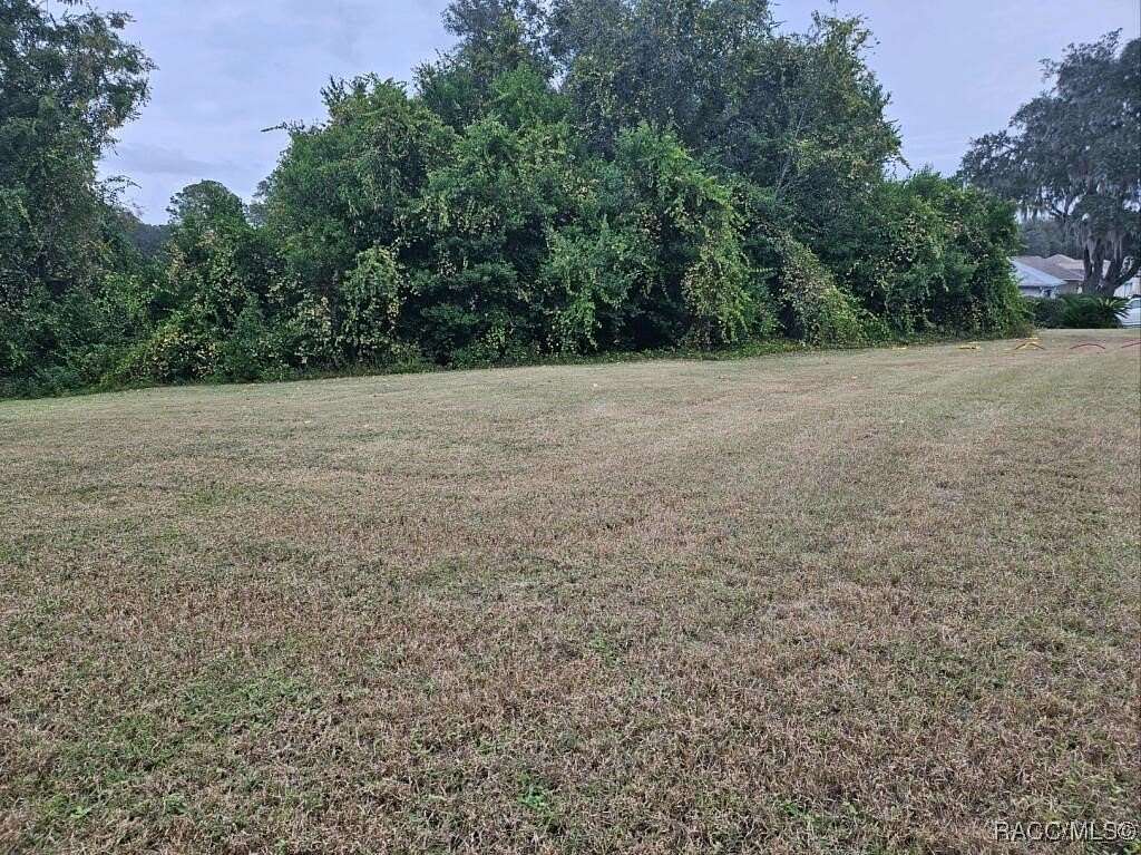 0.24 Acres of Residential Land for Sale in Hernando, Florida