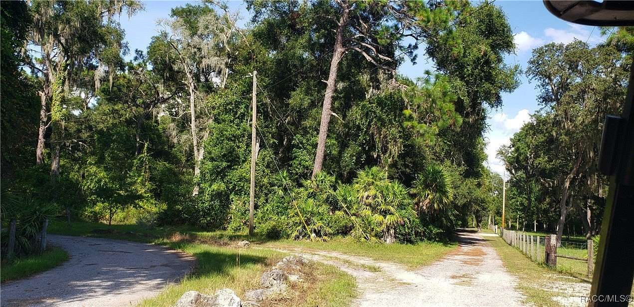 31.59 Acres of Agricultural Land for Sale in Floral City, Florida