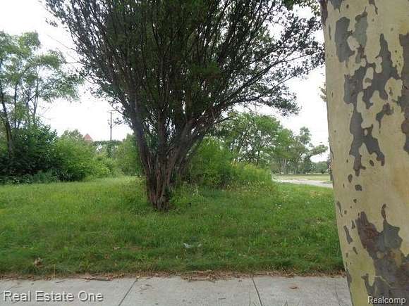 0.19 Acres of Residential Land for Sale in Hamtramck, Michigan