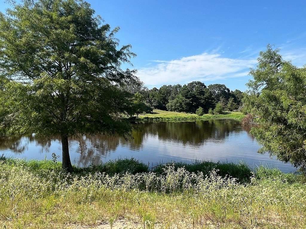 15.906 Acres of Land with Home for Sale in Bellville, Texas