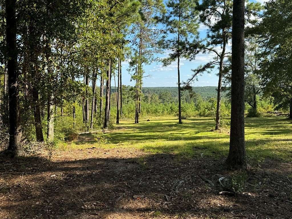 1.04 Acres of Residential Land for Sale in Bainbridge, Georgia