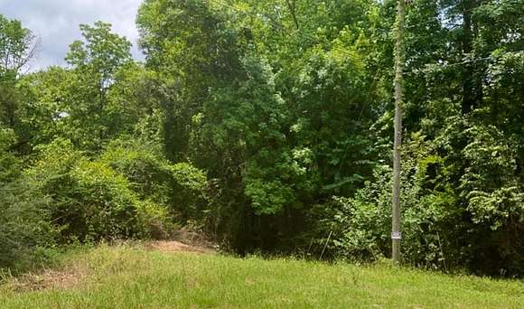 24 Acres of Land for Sale in Cairo, Georgia