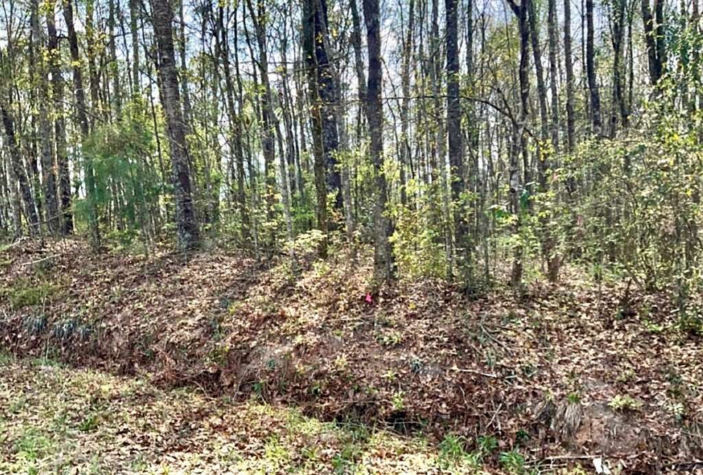 1.12 Acres of Land for Sale in Cairo, Georgia