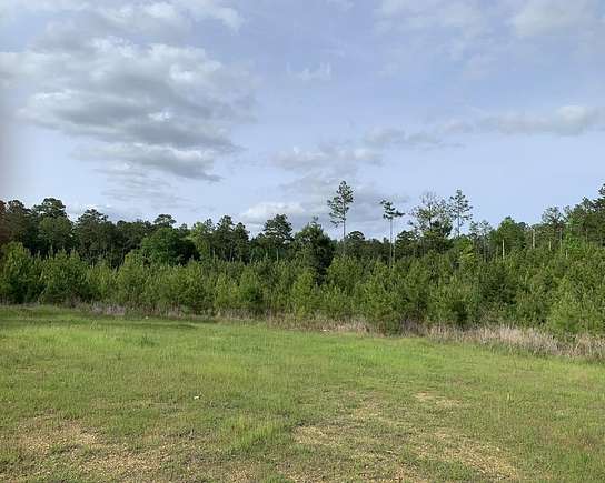 40.11 Acres of Recreational Land for Sale in Crosby, Mississippi