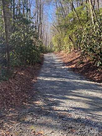 38.9 Acres of Land for Sale in Zirconia, North Carolina