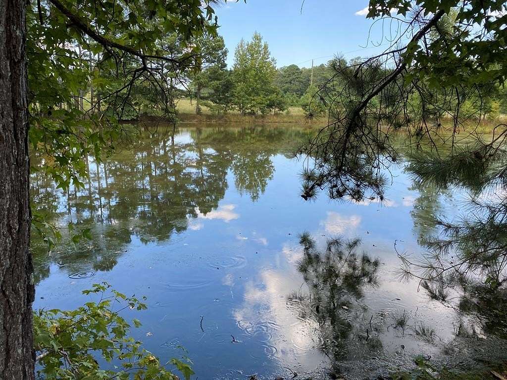 10 Acres of Residential Land for Sale in Ninety Six, South Carolina