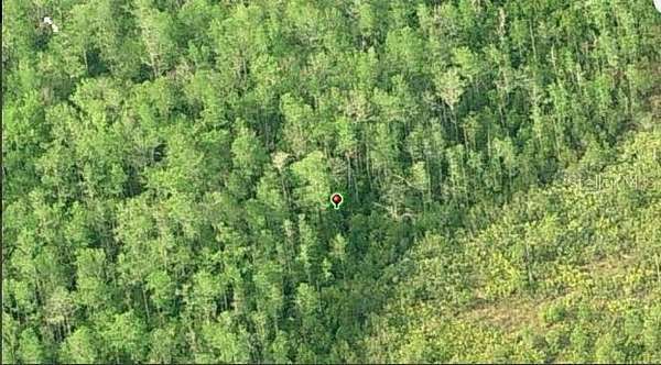 1.27 Acres of Residential Land for Sale in Orlando, Florida