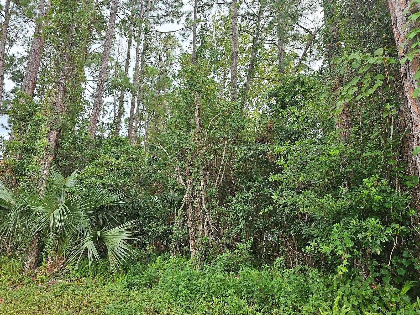 0.28 Acres of Residential Land for Sale in Palm Coast, Florida