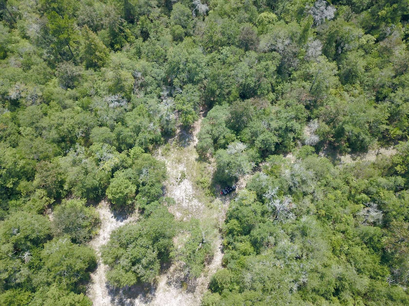 125 Acres of Recreational Land for Sale in Mount Vernon, Alabama